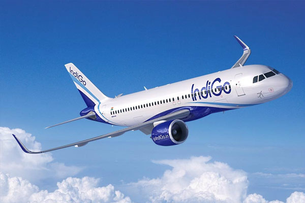 IndiGo airline logo